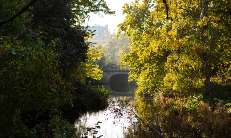 A bridge over water with autumn trees on either side
