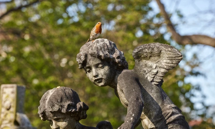 Brompton wildlife spring hero