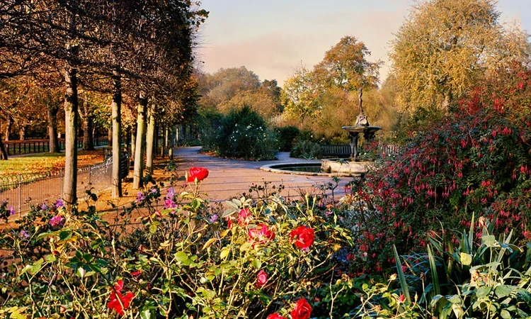 The Rose Garden in Hyde Park