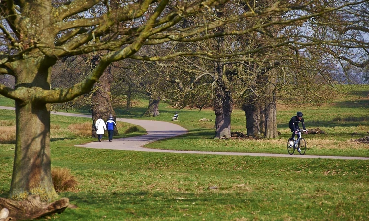 Richmond Sport Spring hero