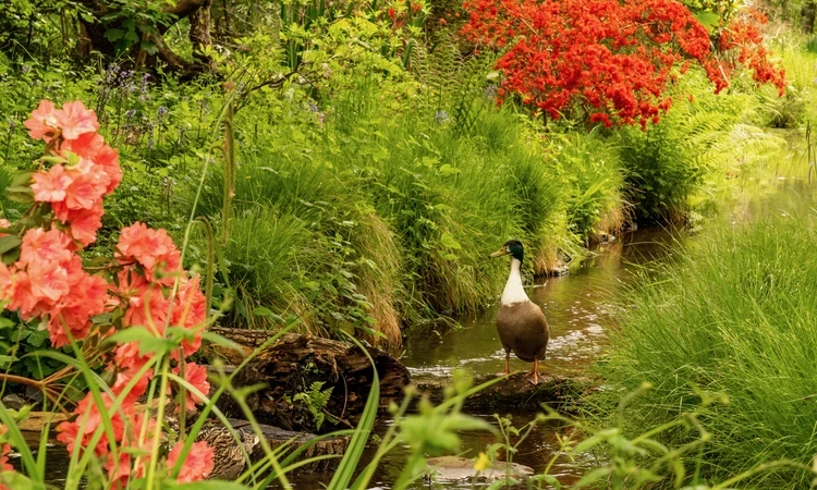 Nature and wildlife spring hero
