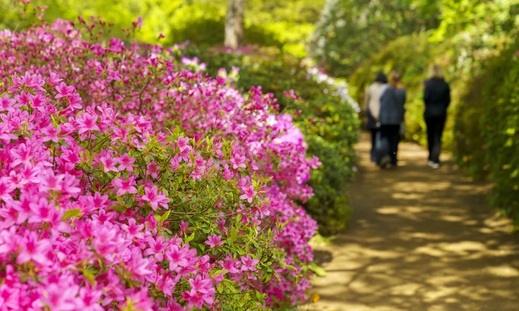 Richmond Things to do spring hero