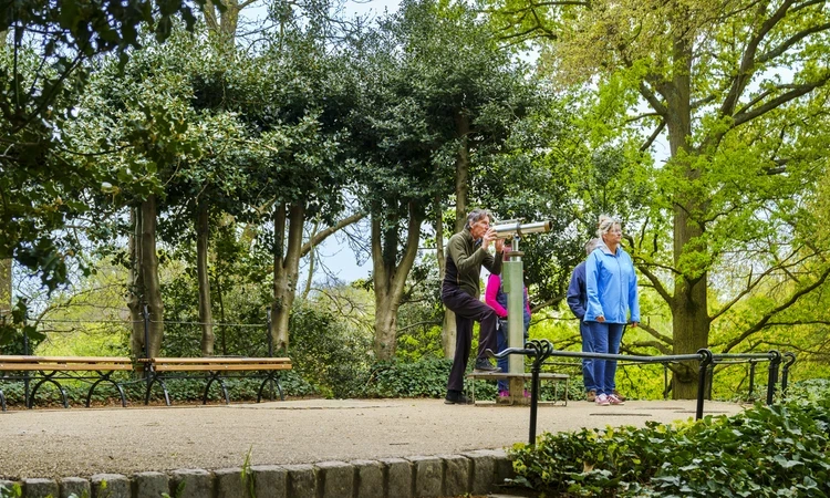 King Henry mound Richmond Spring hero