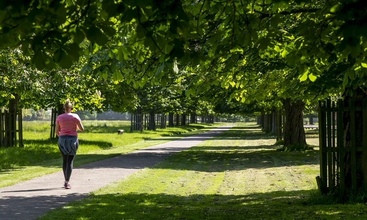 Bushy Park Spring Hero Things to do