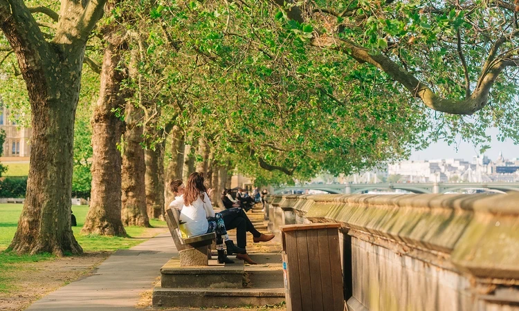 Riverside benches in Victoria Tower Gardens