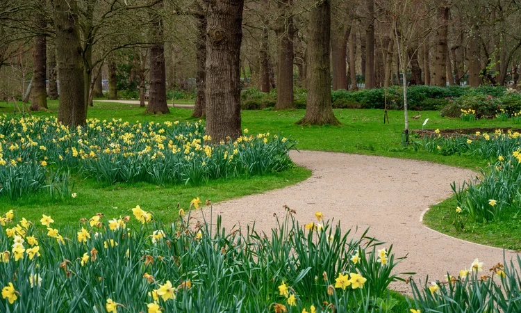 Bushy Park Spring Hero Maps