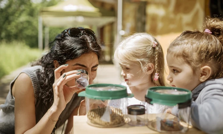 Image of a woman looking through a microscope at insects in a jar. Two children are to her right.