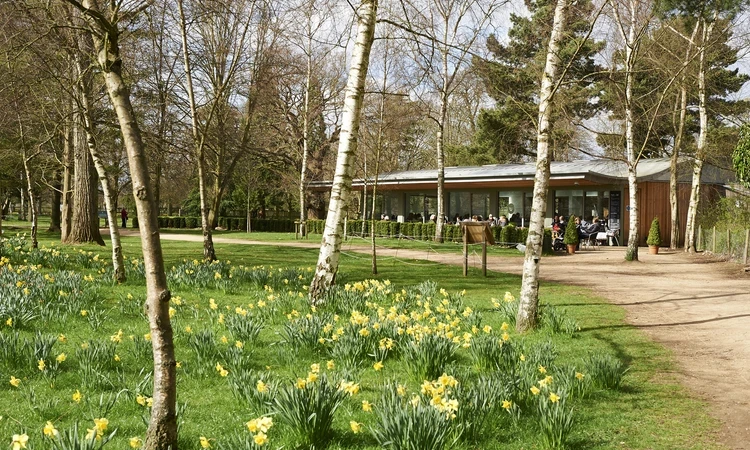 Bushy Park Spring Hero Food and Drink