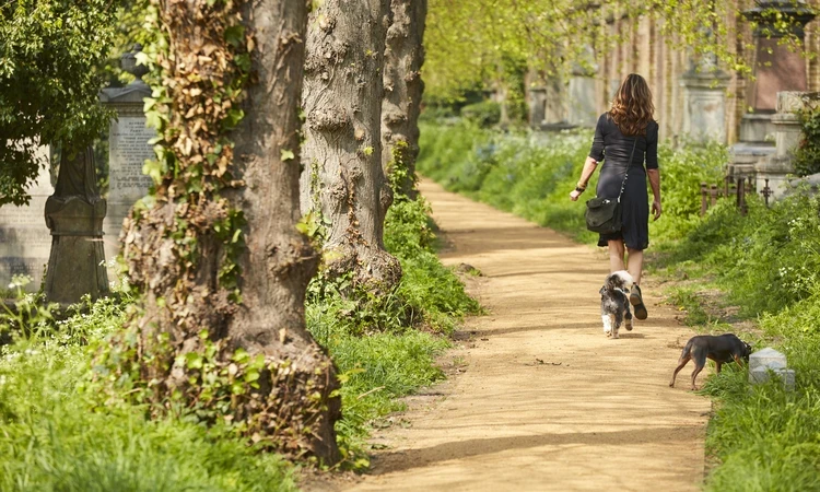 Brompton Spring FAQs Hero