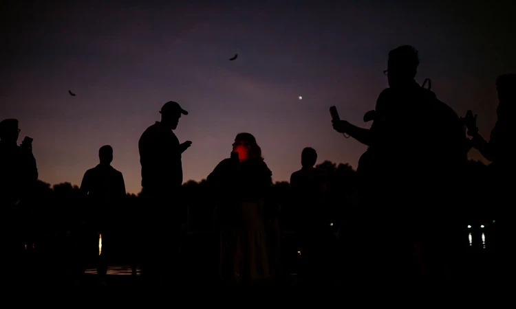 Night time image of group with bat detectors