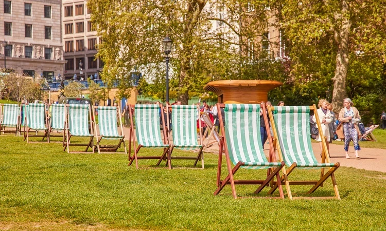 Deck chairs in the park