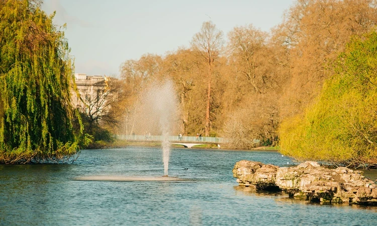 The Tiffany Fountain