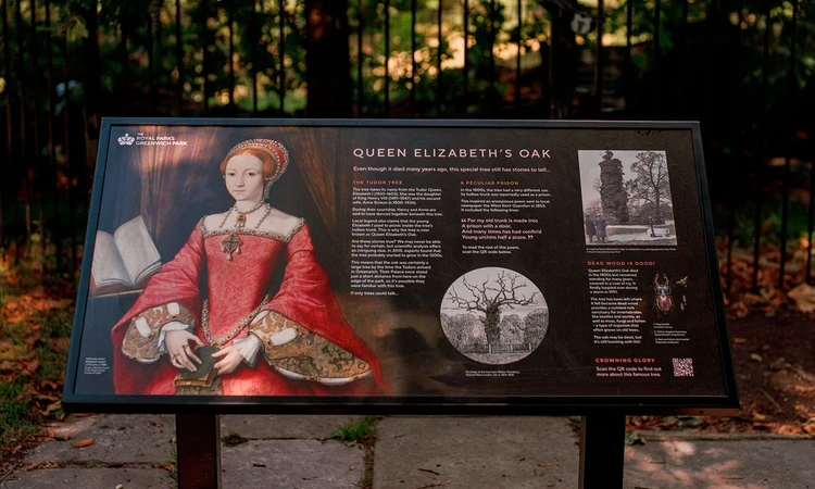 Information sign for Queen Elizabeth's Oak