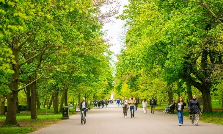 Trees with fresh green spring growth, people walking along the broad walk