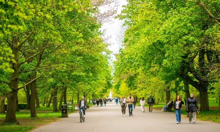 Trees with fresh green spring growth, people walking along the broad walk