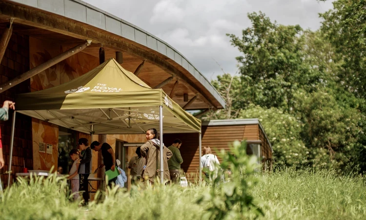 Image of a gazebo in a green, outdoor setting