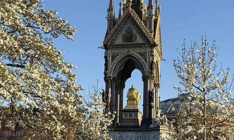 Blossom-filled trees in front of the Albert Memorial