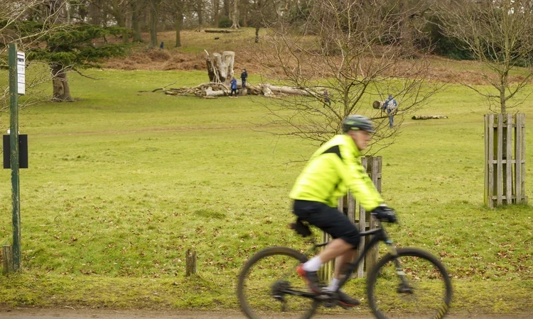 A cyclist cycles through a Royal Park with a grassy hill and trees in the background