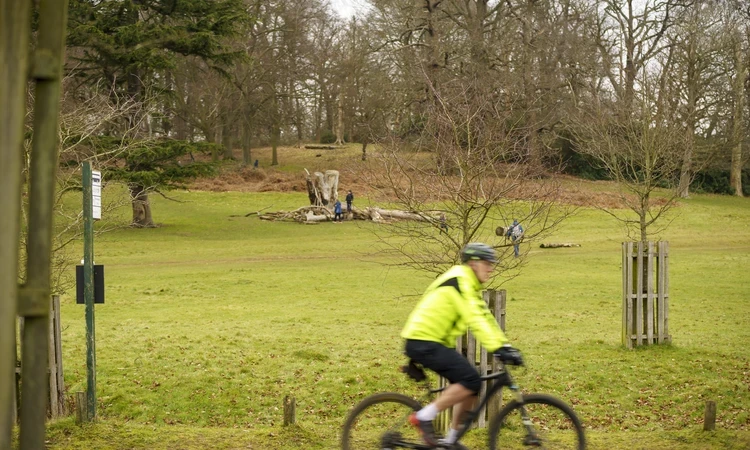 A cyclist rides through a Royal Park with a green hill and trees in the background