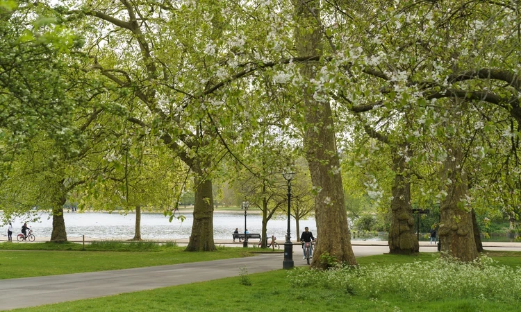Image of a green park with a pathway in the middle, and a water body in the distance.