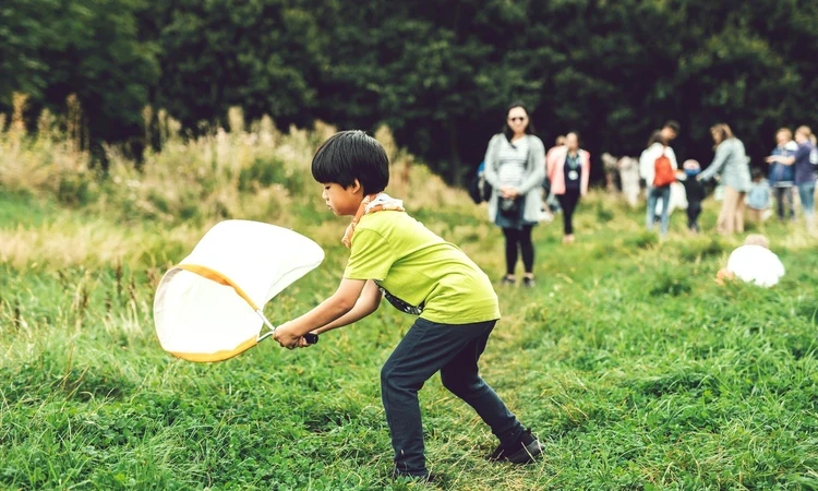 Boy using a sweep net to search for insects in the meadow