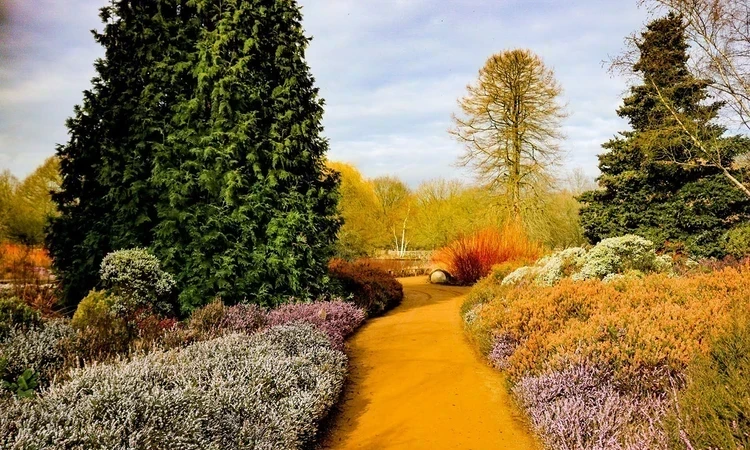 Isabella Plantation