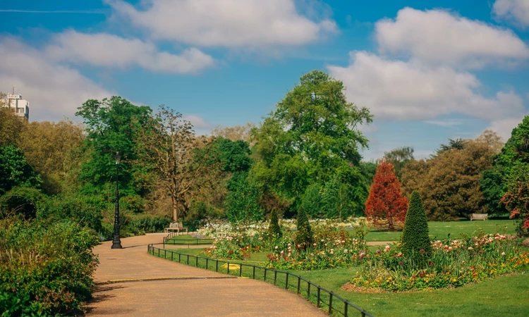 Image of trees and a garden landscape with a pathway on the left