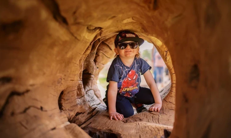 A young boy in sunglasses crawls through a hollow log