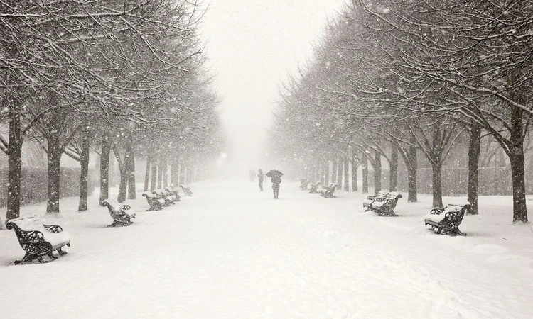 Broad Walk in the snow