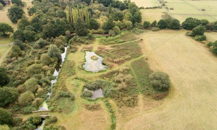 Bushy Park Map