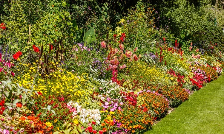Summer flower beds