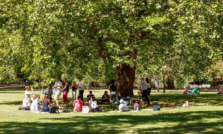 People enjoying a picnic