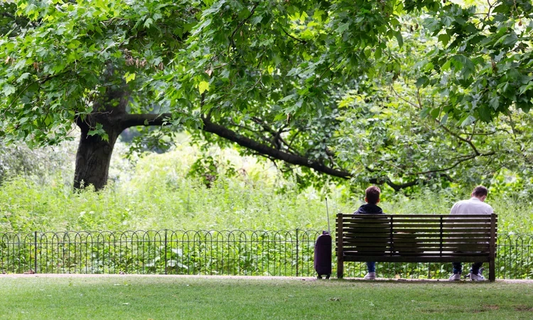 Green Park Map Summer Hero