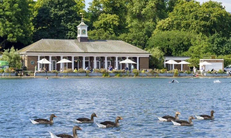 Serpentine lido summer 
