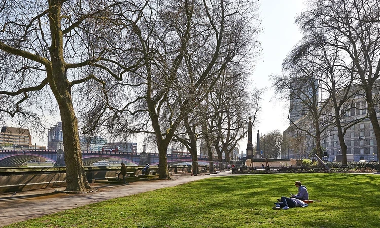 Person resting on the grass in winter
