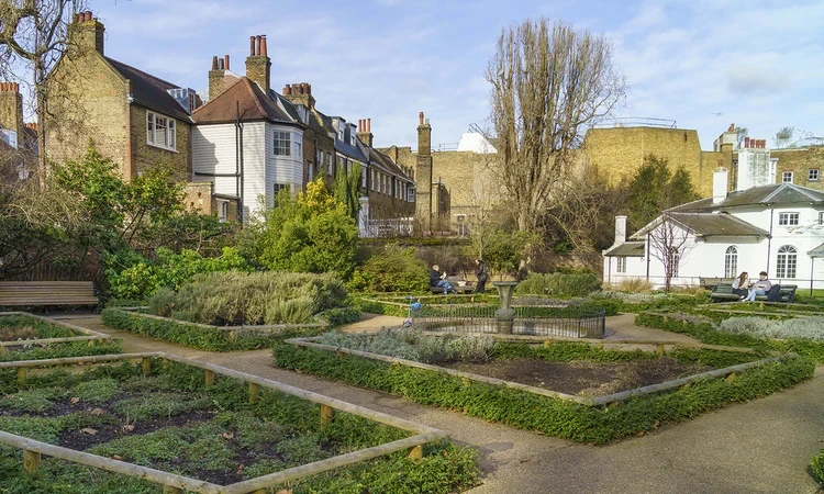 The herb garden in winter