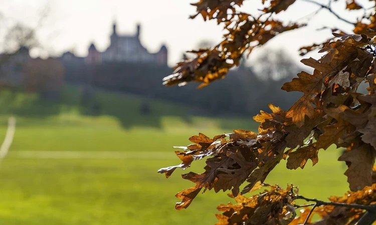 Golden autumn leaves with the Royal Observatory in the background