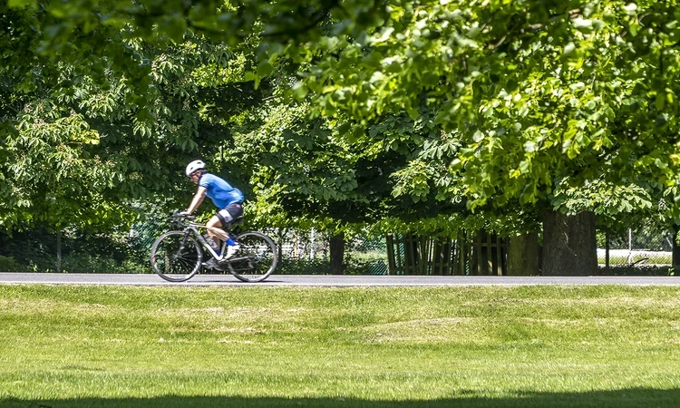 Road cyclist
