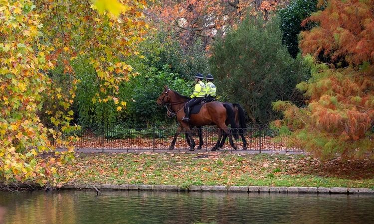 Two police officers on horseback