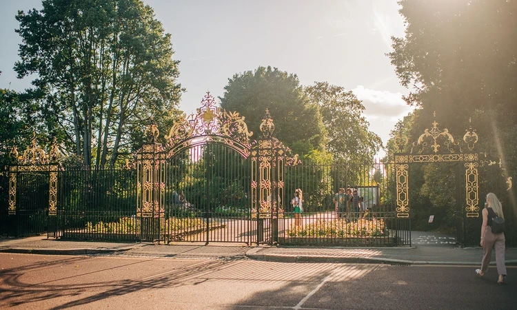 Chester Road gates
