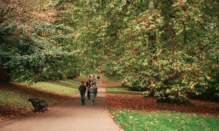 Walking among autumn leaves
