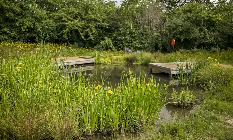 Nature pond at the Learning Centre