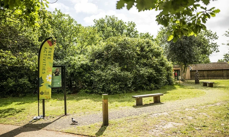 Bench and path leading to the learning centre