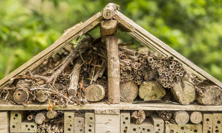 Giant bug hotel