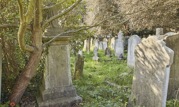 Gravestones under the trees