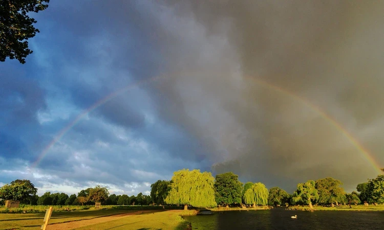 A rainbow arches through moody rainclouds above the park