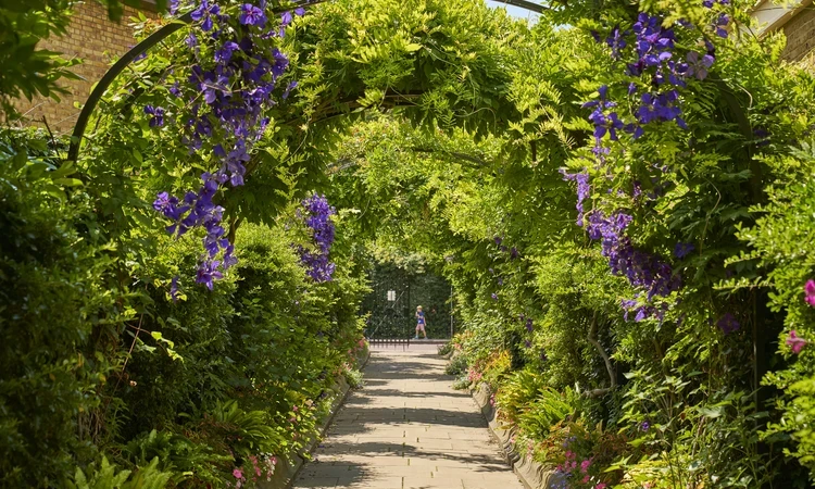 Summer flowers in The Regent's Park