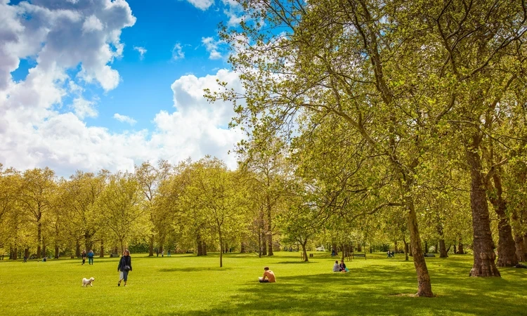 A summers day at Green Park