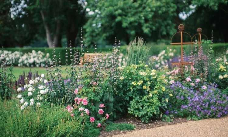 Colourful new flower beds
