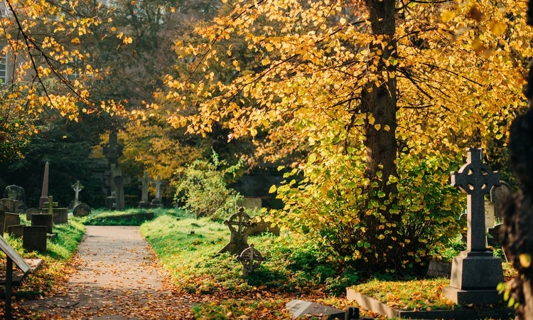 Brompton Cemetery in autumn